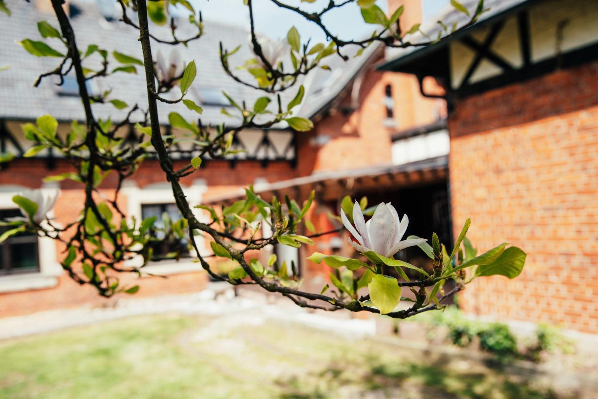 Apartmán Alte Schule Spittelstein 1Og Rechts Rödental Exteriér fotografie